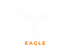 ORM Eagle Logo for Website
